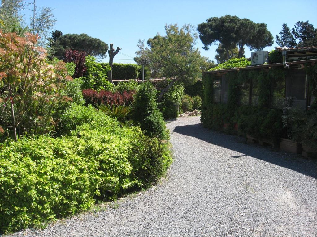 Country Apartments Castel di Decima Eksteriør bilde